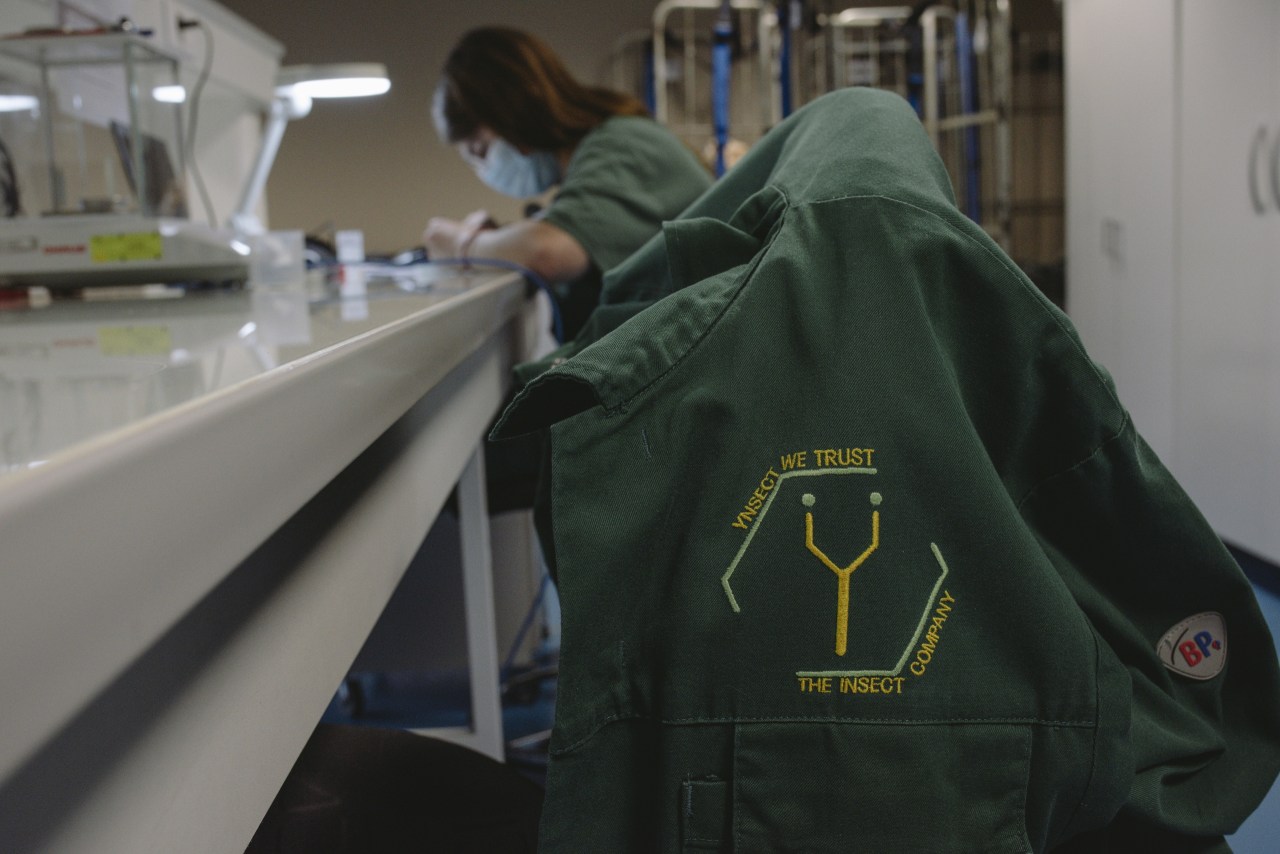 چگونه واقعیت، Ÿnsect، استارتاپ فرانسوی را که بیش از 600 میلیون دلار برای پرورش حشرات جمع آوری کرده بود، درهم شکست.